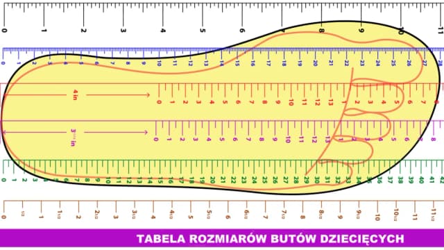 Jaki rozmiar buta ma 1,5-roczne dziecko? Oto co musisz wiedzieć Jaki rozmiar buta ma 1,5-roczne dziecko? Oto co musisz wiedzieć